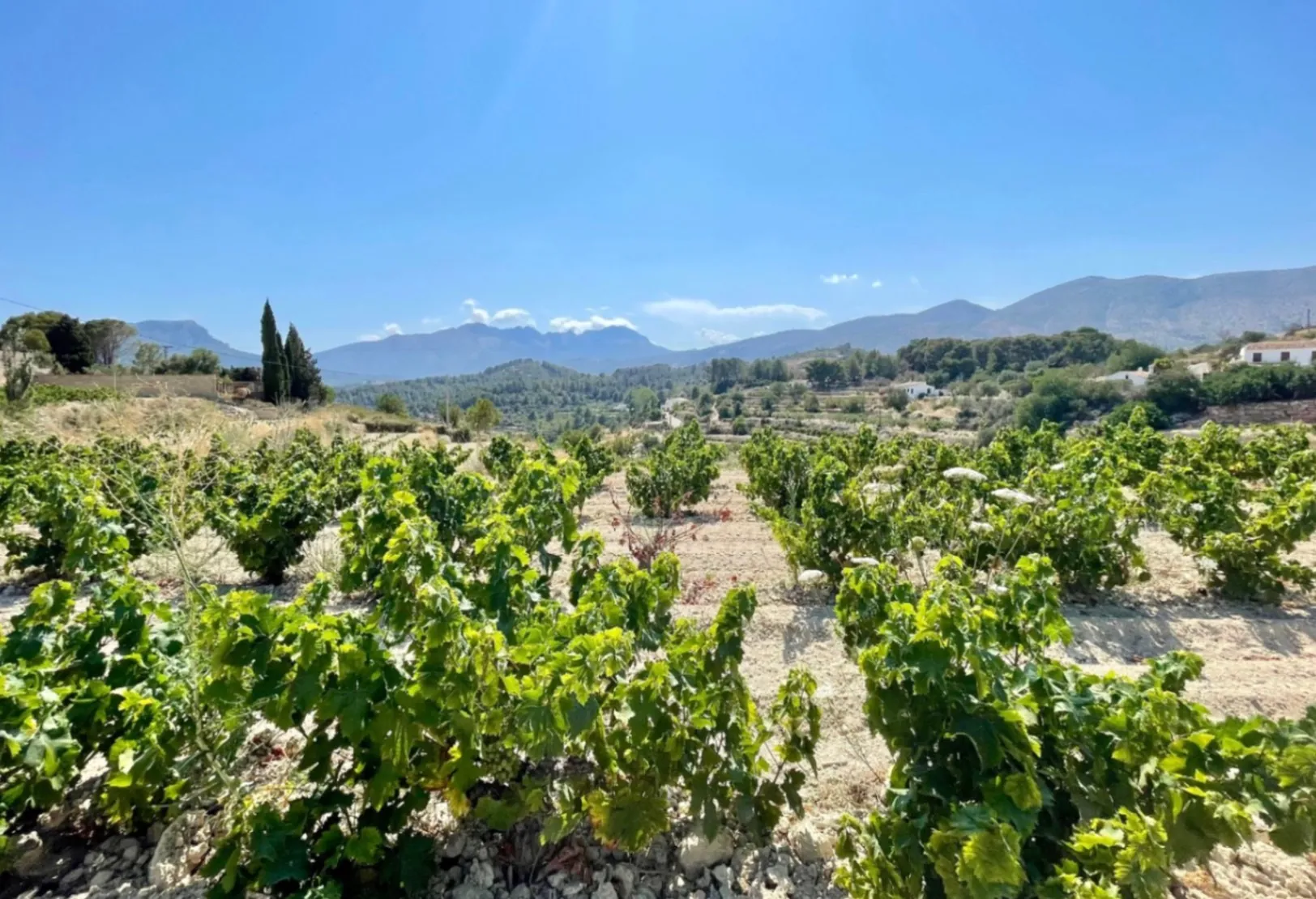Traditional villa project with building permit for sale on a large plot in Benissa.