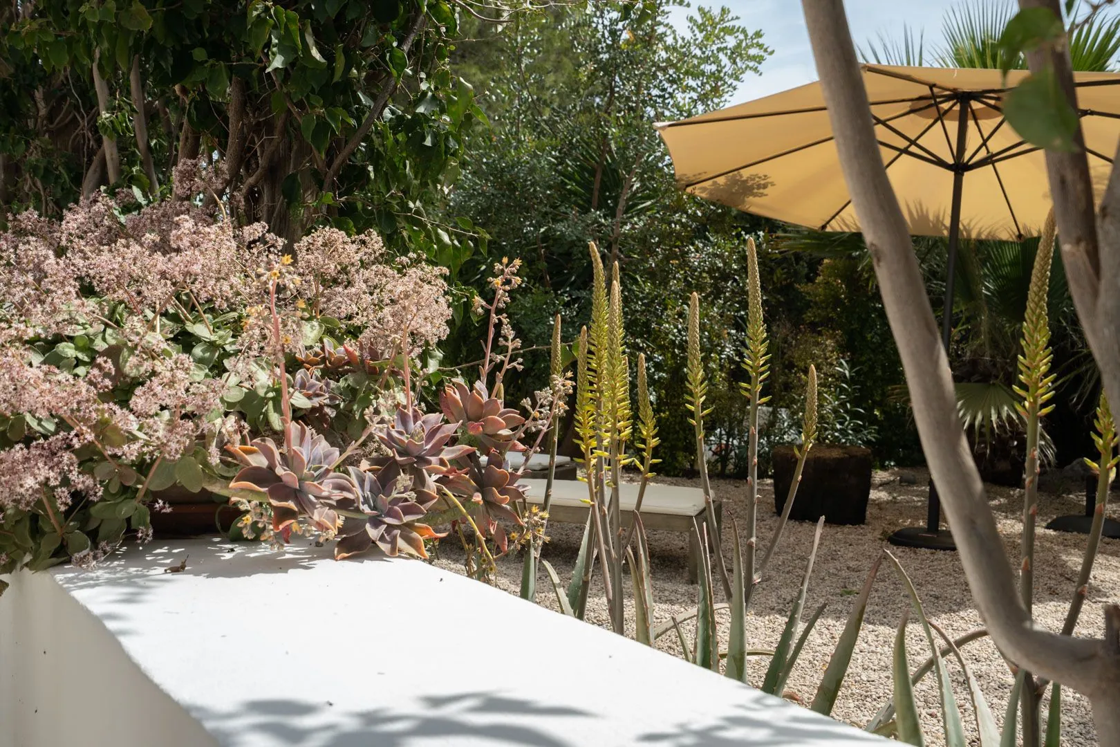 Charmante villa au pied du Montgó avec piscine et maison d'invités.