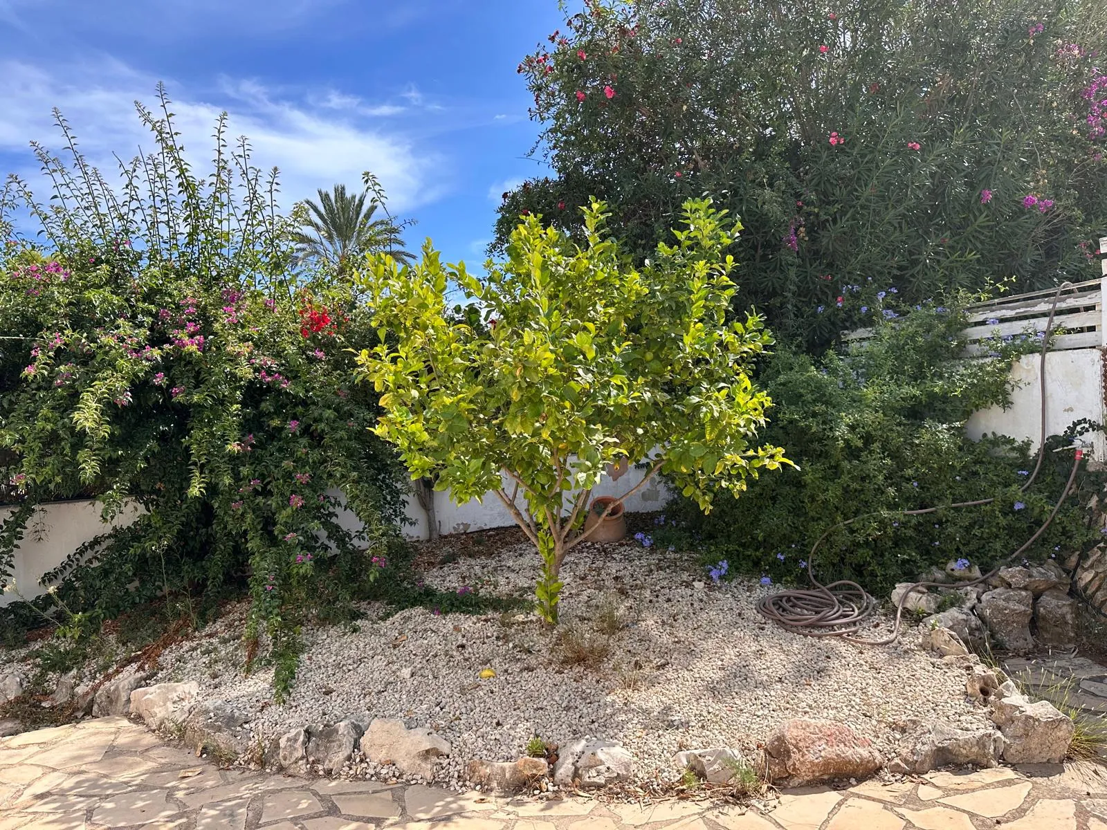 Villa de estilo mediterráneo à vendre dans la zone exclusive de Cap Martí à Jávea/Xàbia.