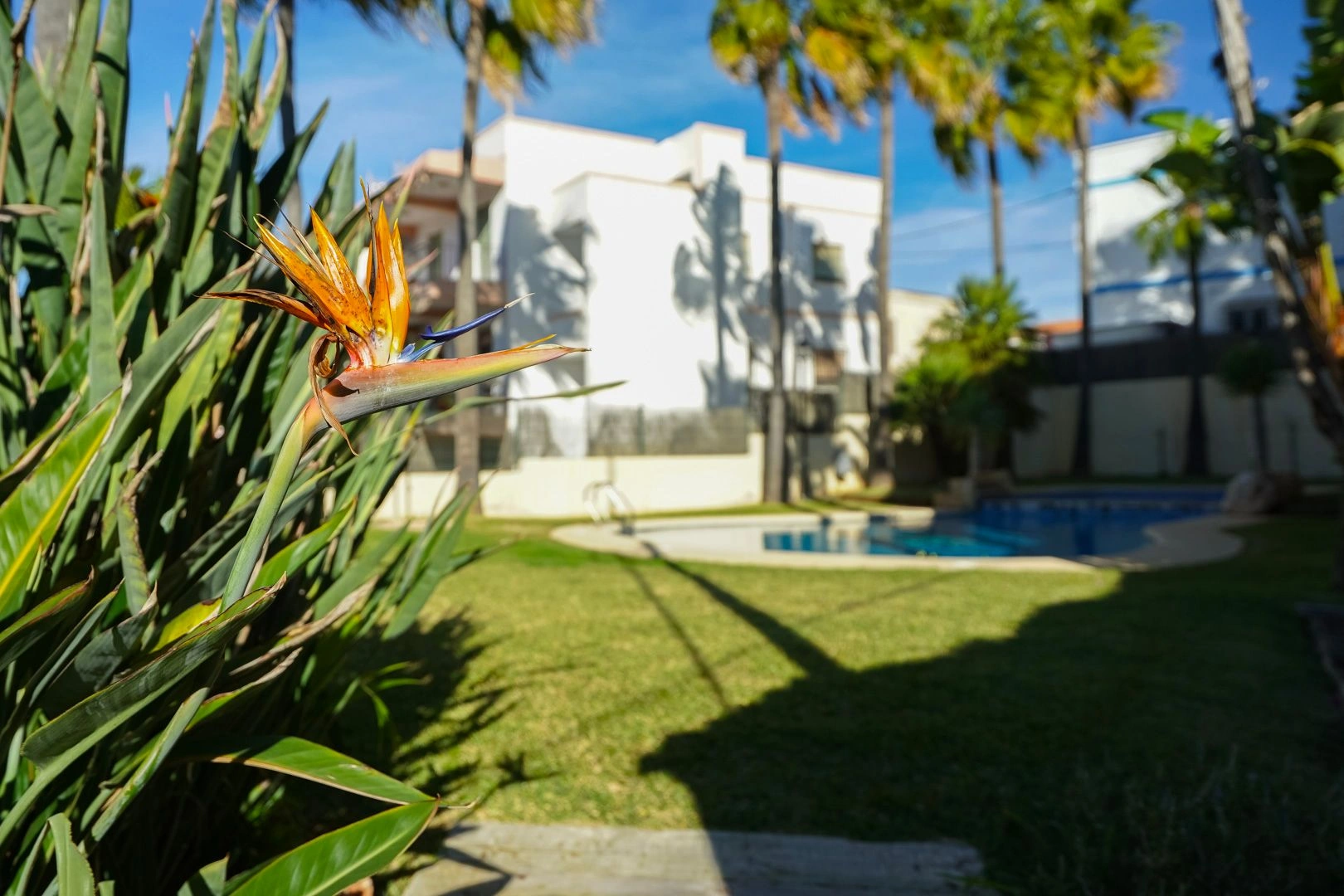 Exclusive triplex just a step away from Arenal: comfort, lifestyle, and unbeatable location.