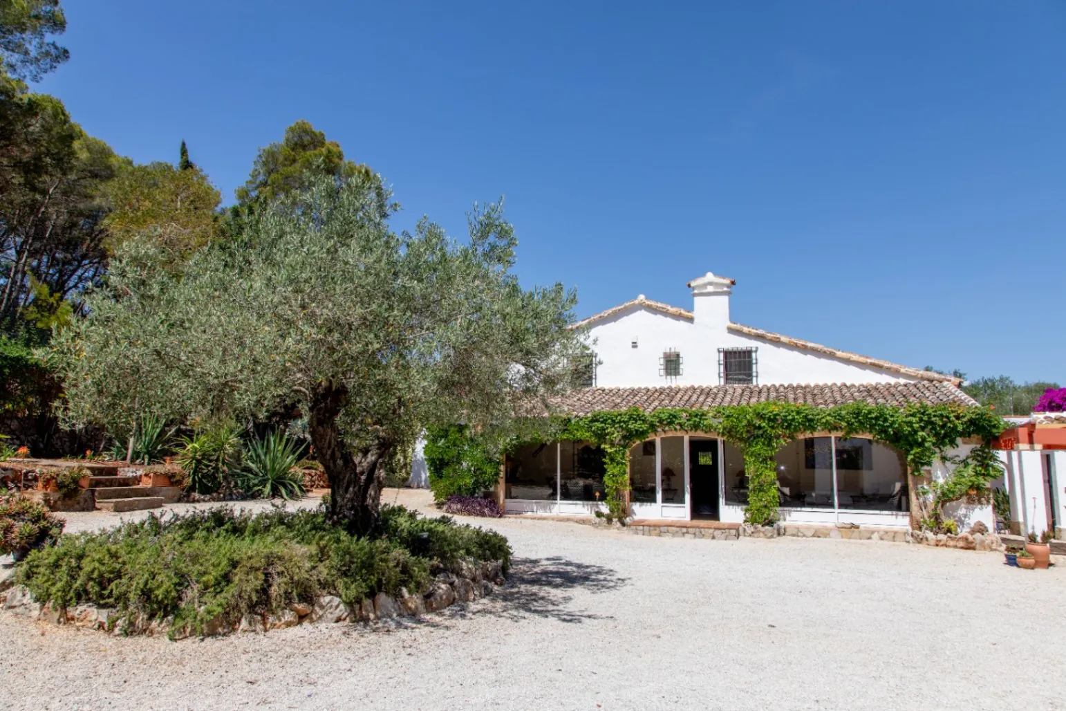Finca de estilo rústico tradicional en venta en Pedreguer