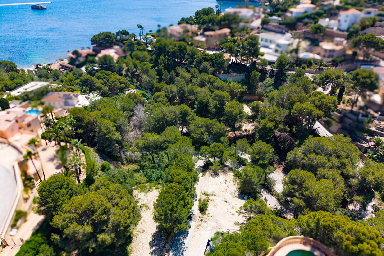 Exclusiva parcela de inversión en Jávea para proyectos a futuro