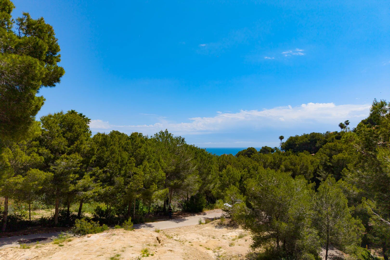 Exclusiva parcela de inversión en Jávea para proyectos a futuro - 3