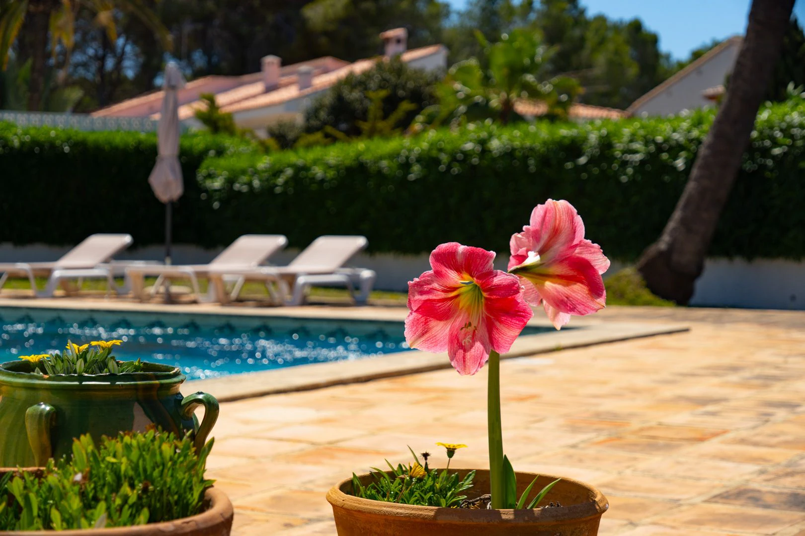 Villa mediterránea con encanto en Pla del Mar, a un paso del centro de Moraira