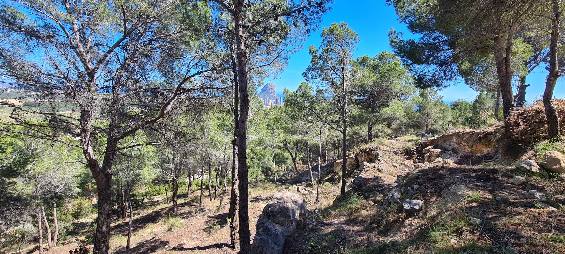 Parcela amplio en Calpe.