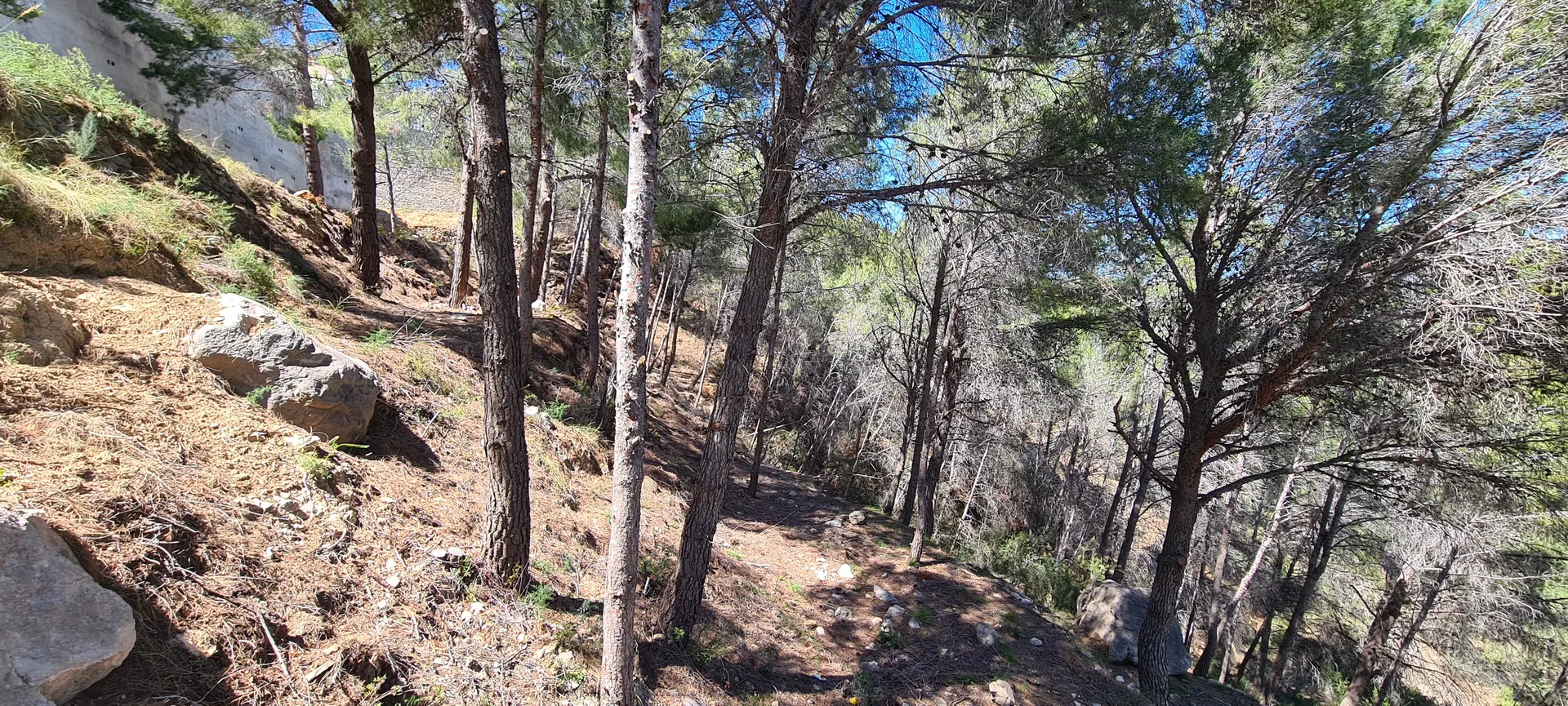 Parcela amplio en Calpe.