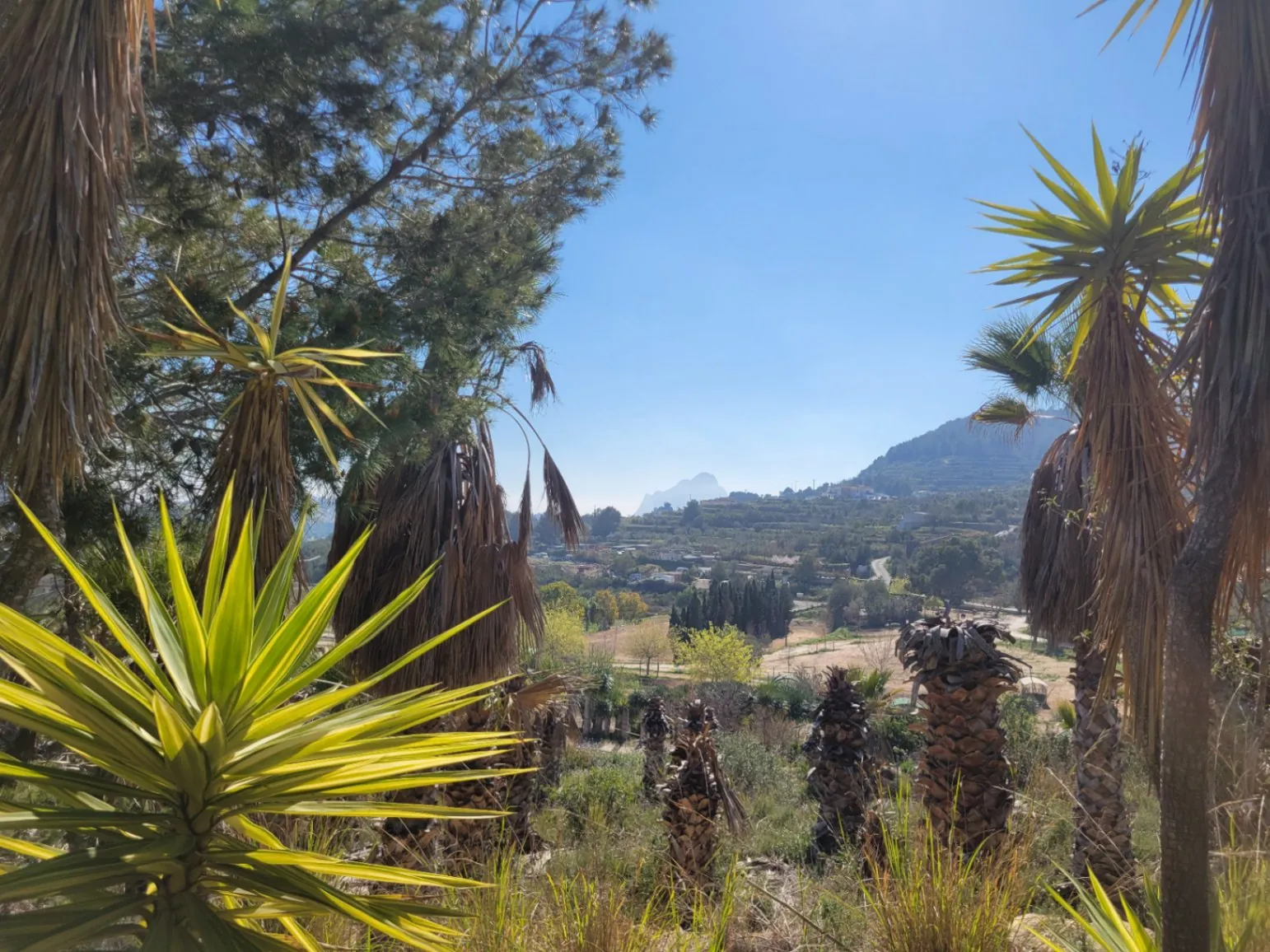 Rustic plot for sale of 10,000 m²