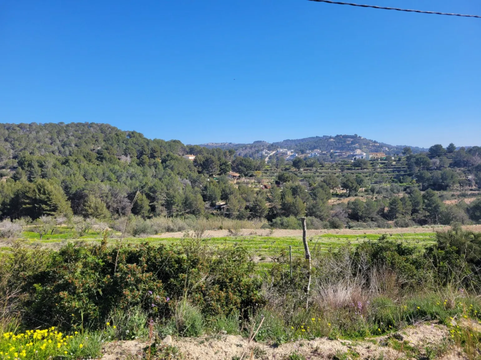 Rustic plot for sale of 10,000 m²