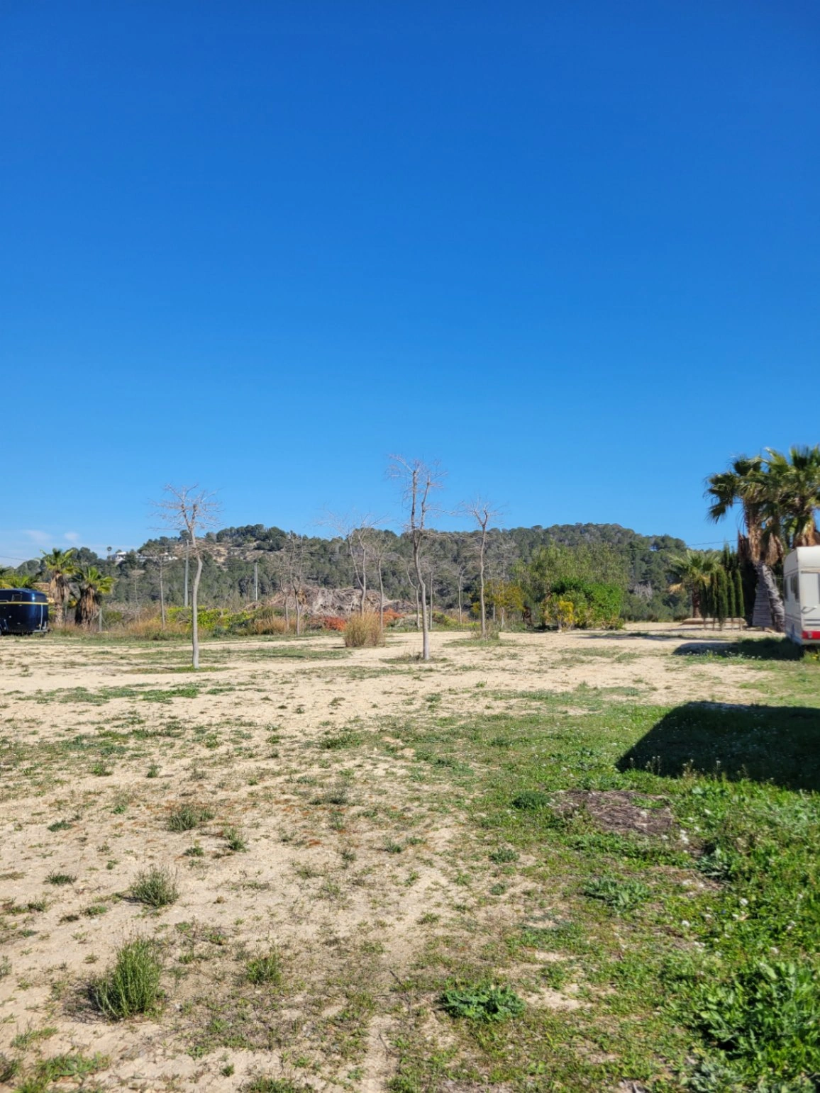 Rustic plot for sale of 10,000 m²