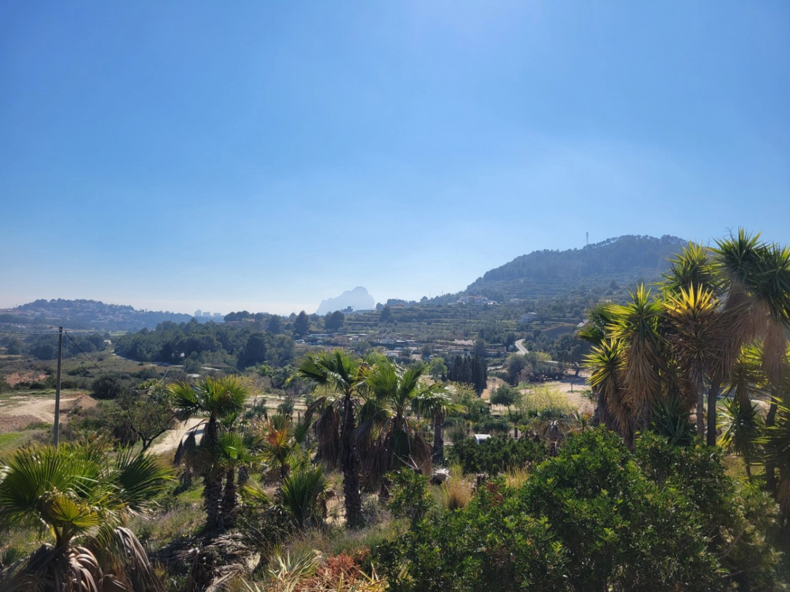 Rustic plot for sale of 10,000 m²