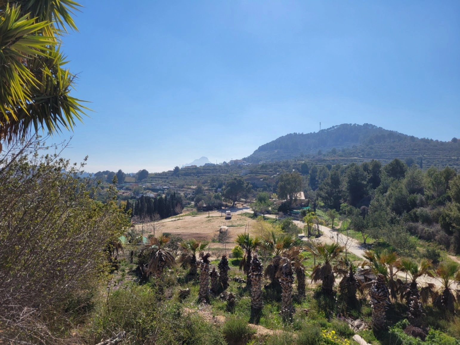 Rustic plot for sale of 10,000 m²
