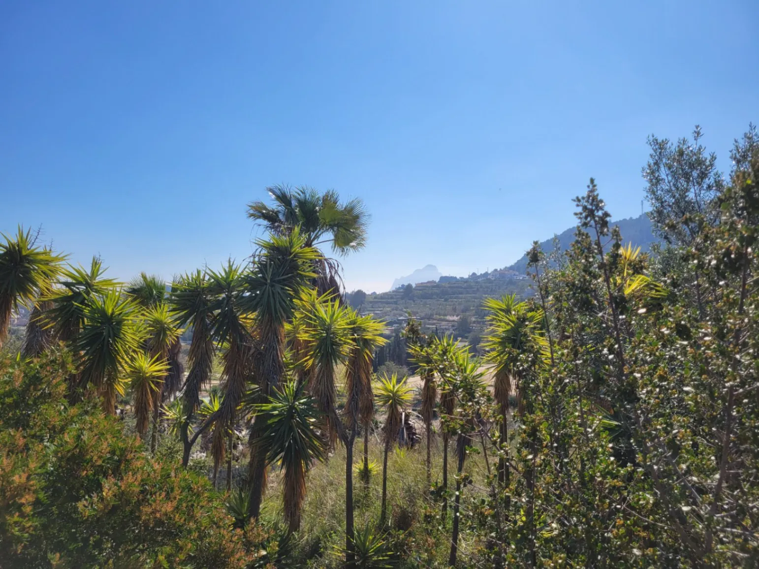 Rustic plot for sale of 10,000 m²