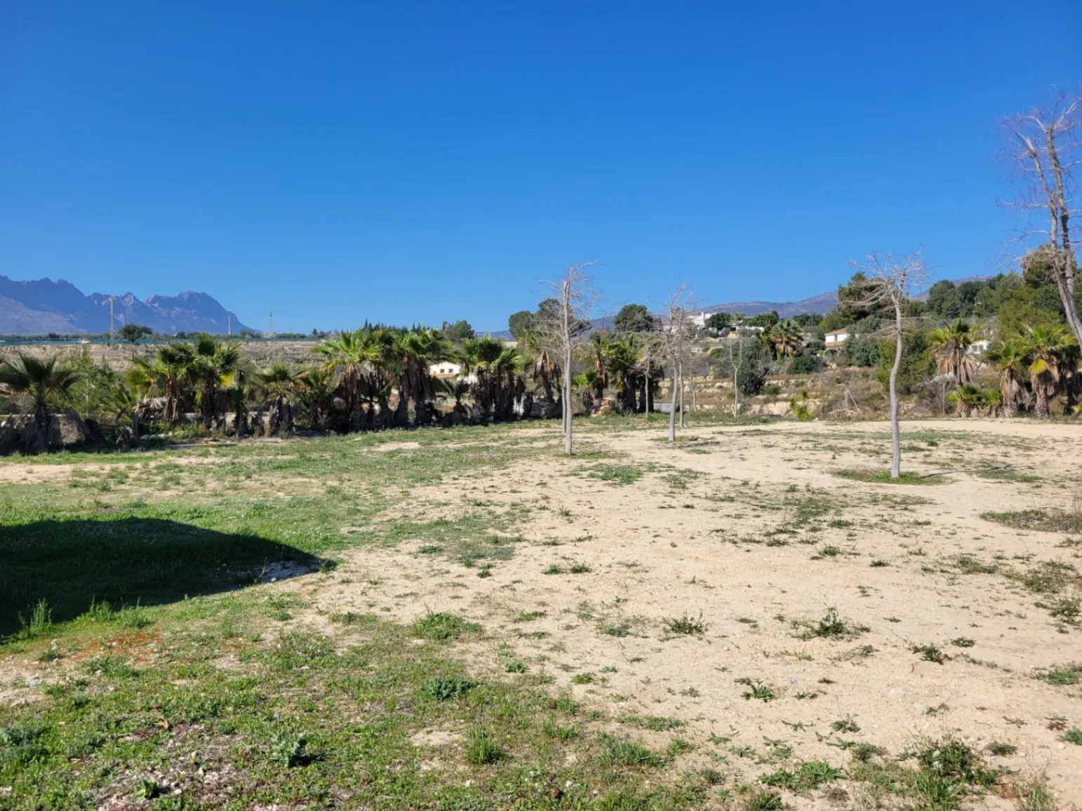 Rustic plot for sale of 10,000 m²