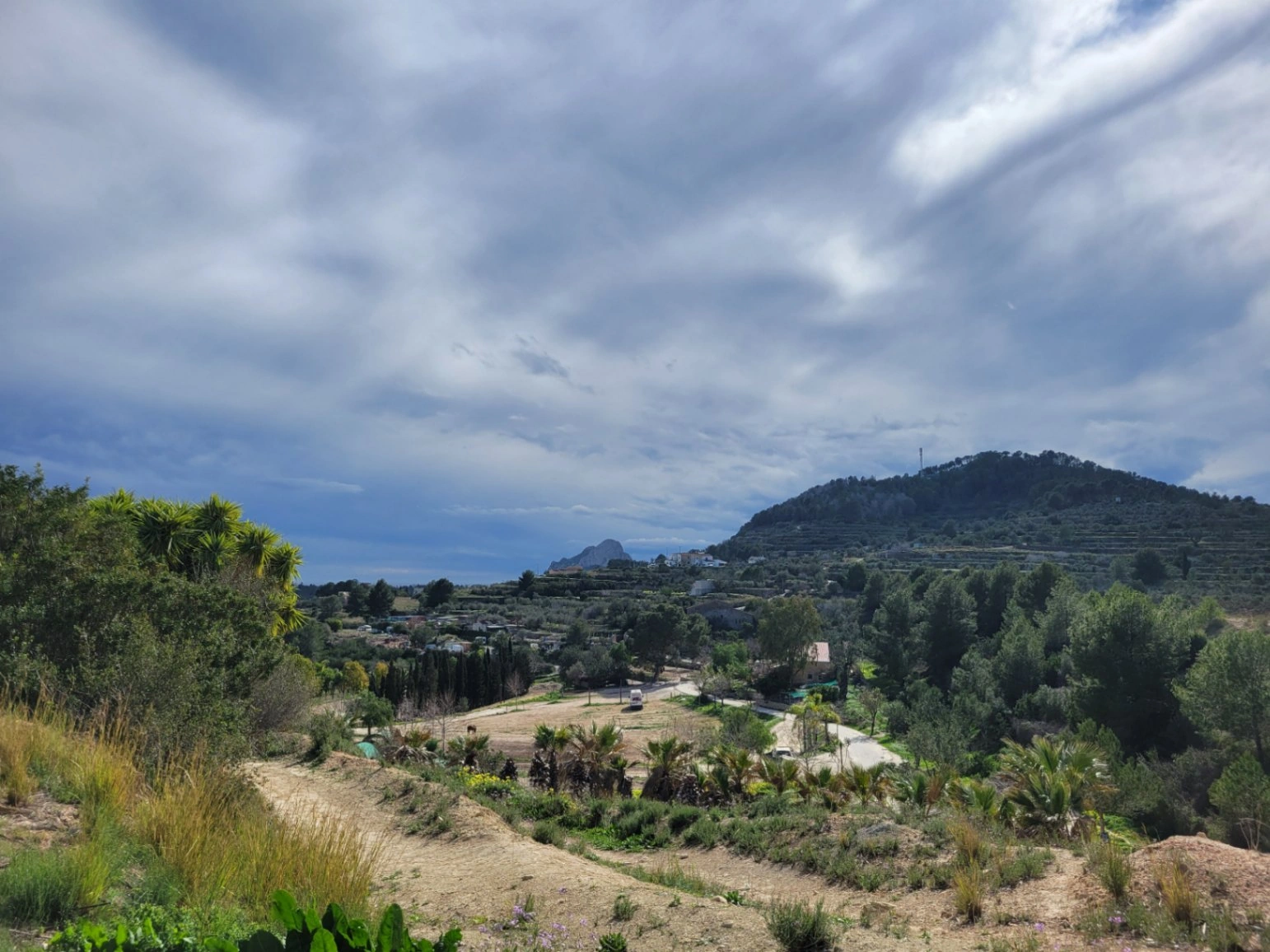 Rustic plot for sale of 10,000 m²