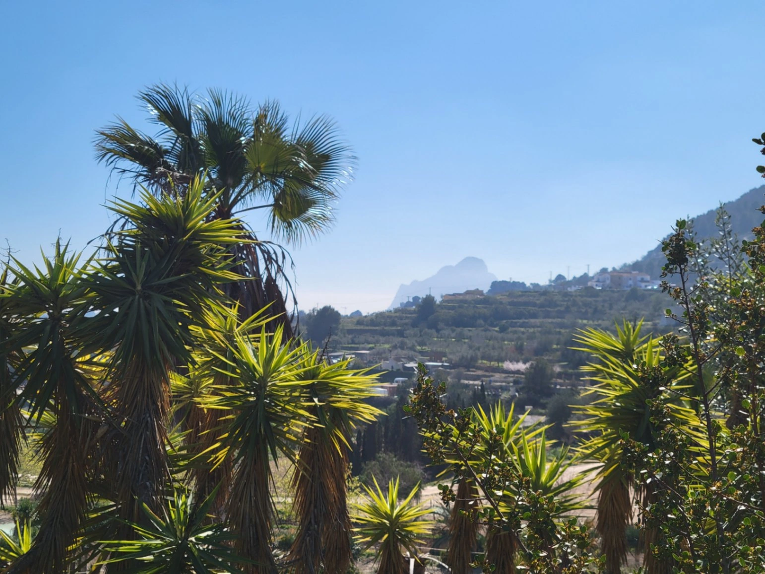 Rustic plot for sale of 10,000 m²