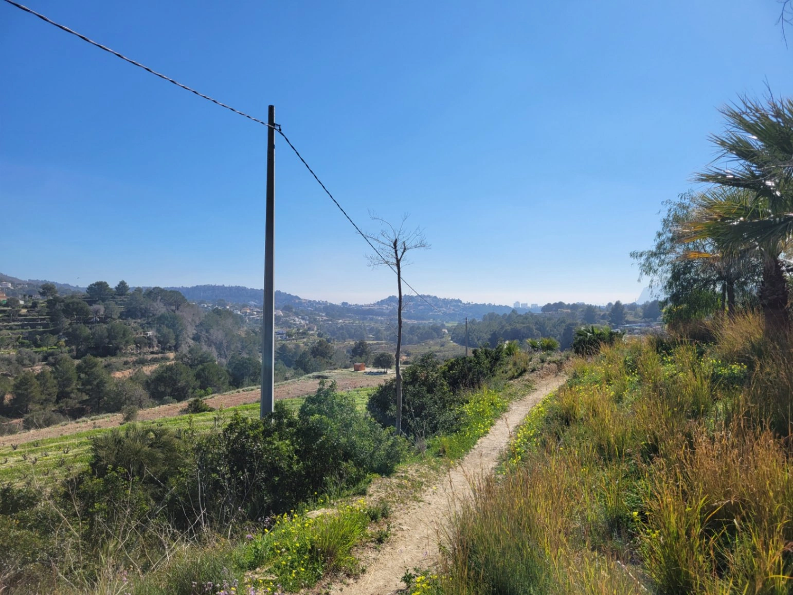 Rustic plot for sale of 10,000 m²