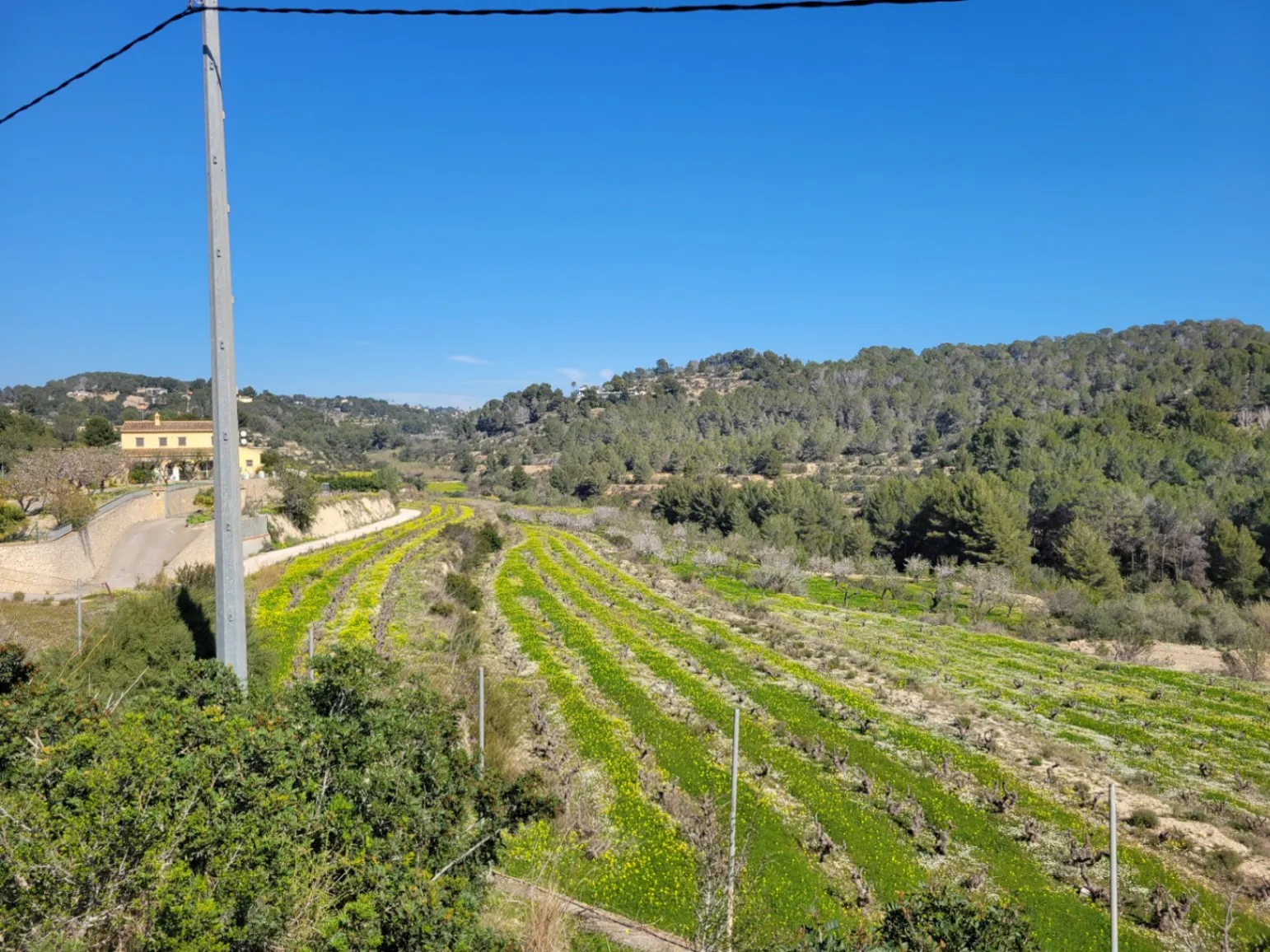 Rustic plot for sale of 10,000 m²