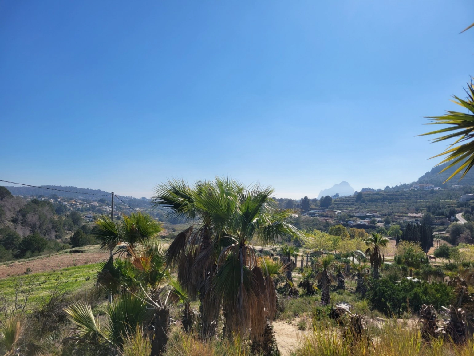 Rustic plot for sale of 10,000 m²