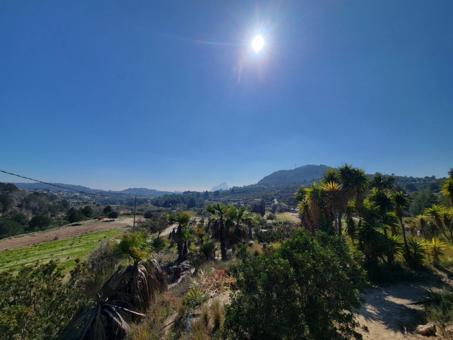 Rustic plot for sale of 10,000 m²