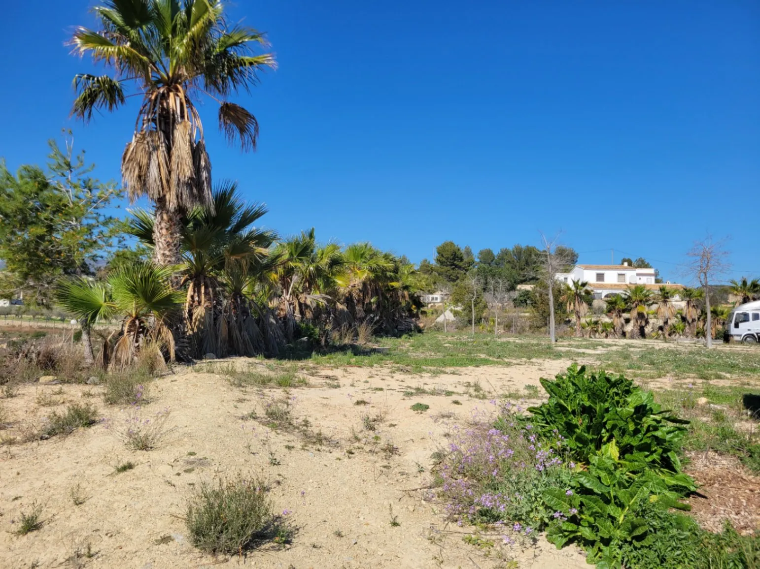 Rustic plot for sale of 10,000 m²