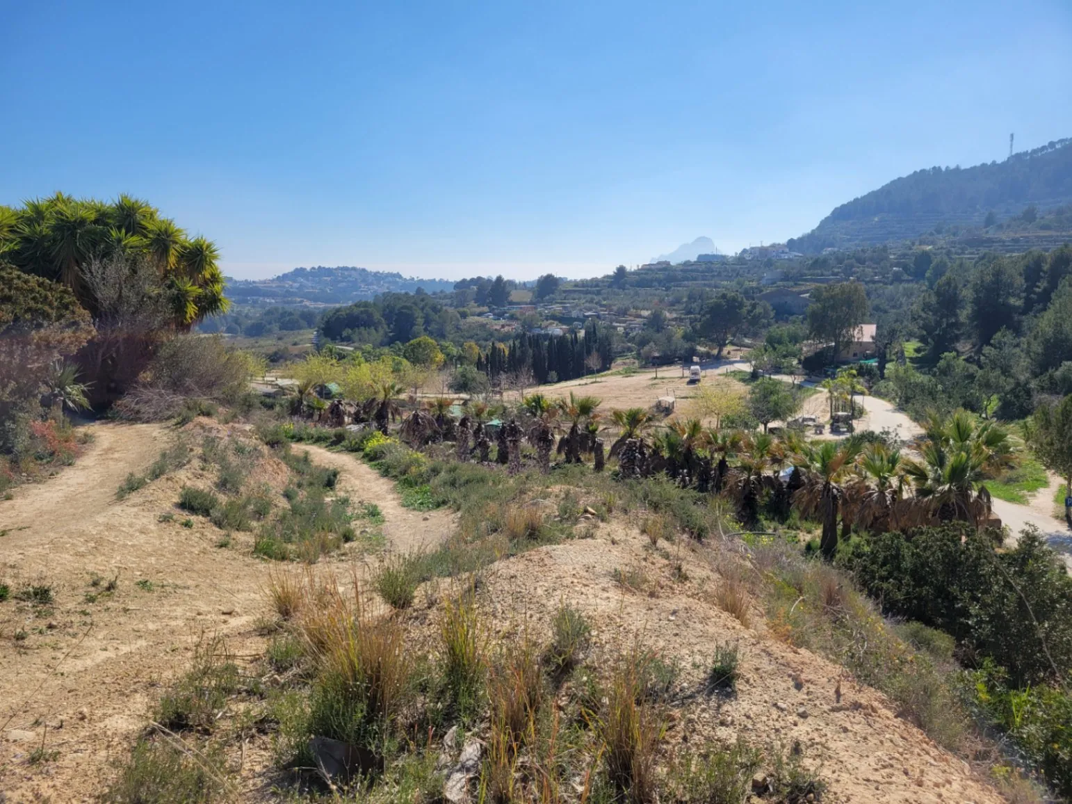 Rustic plot for sale of 10,000 m²