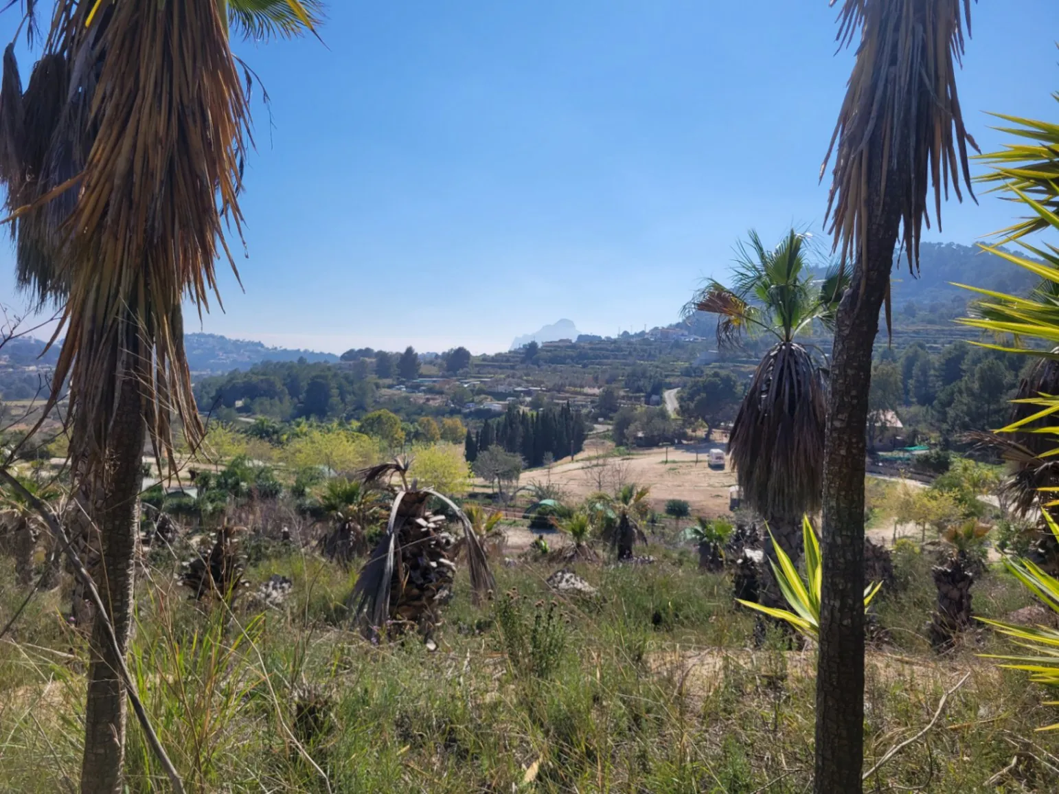 Rustic plot for sale of 10,000 m²