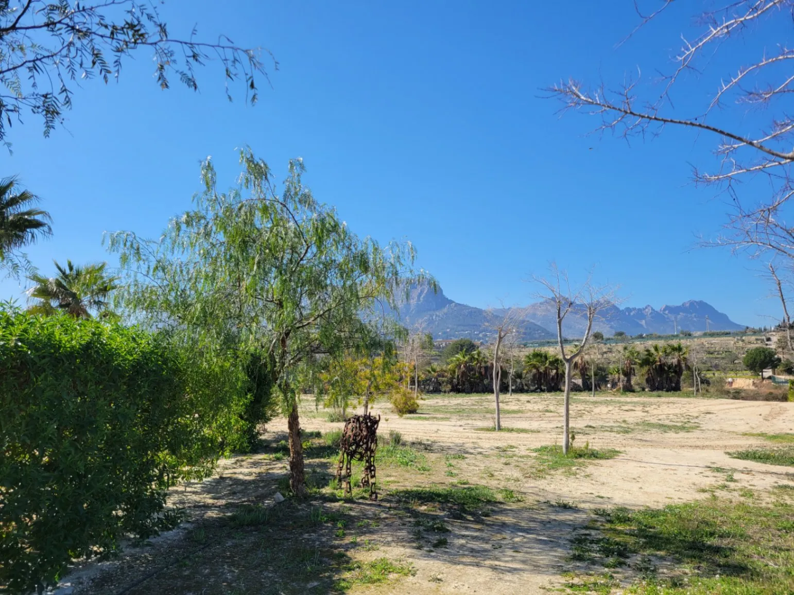 Rustic plot for sale of 10,000 m²
