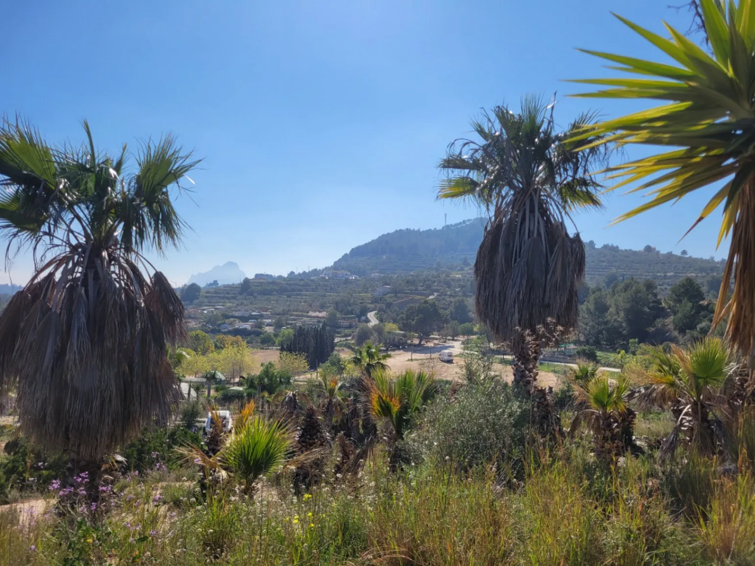 Rustic plot for sale of 10,000 m²