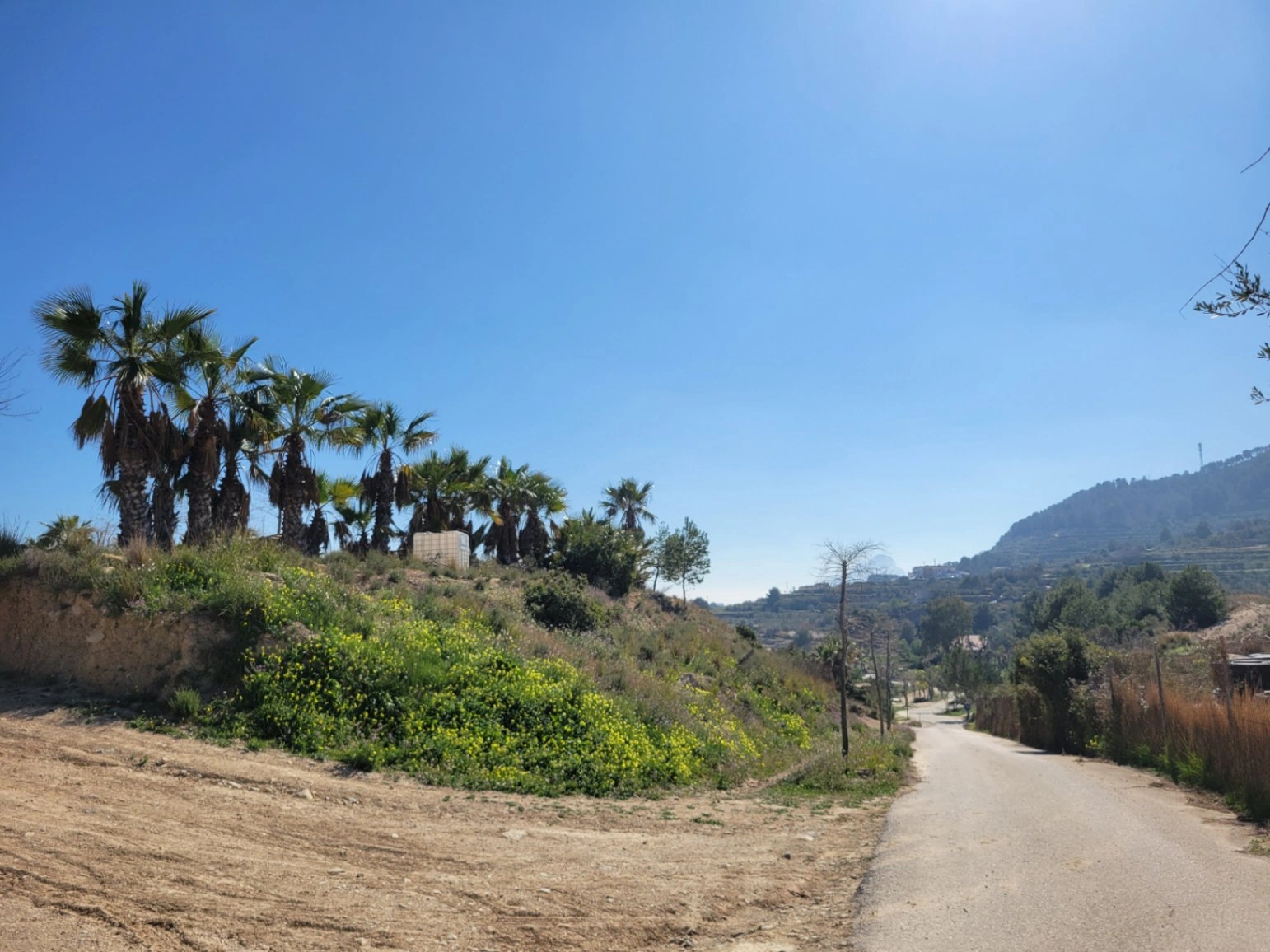 Rustic plot for sale of 10,000 m²