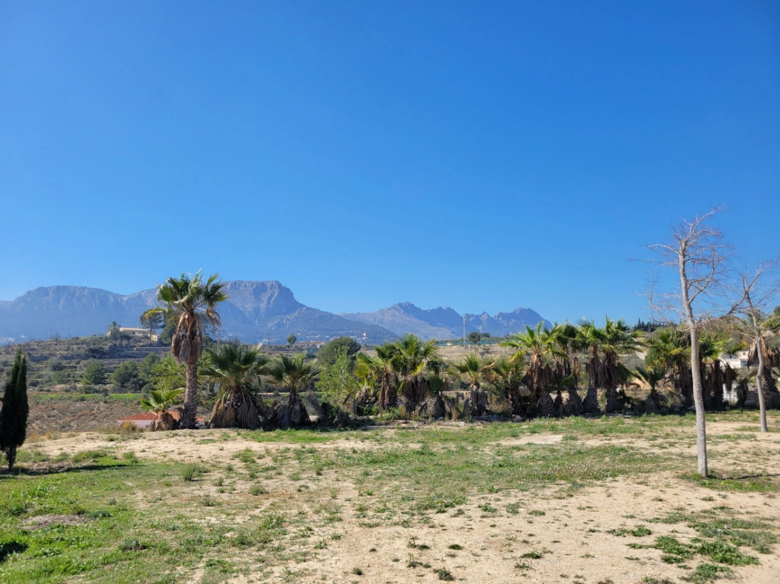 Rustic plot for sale of 10,000 m²