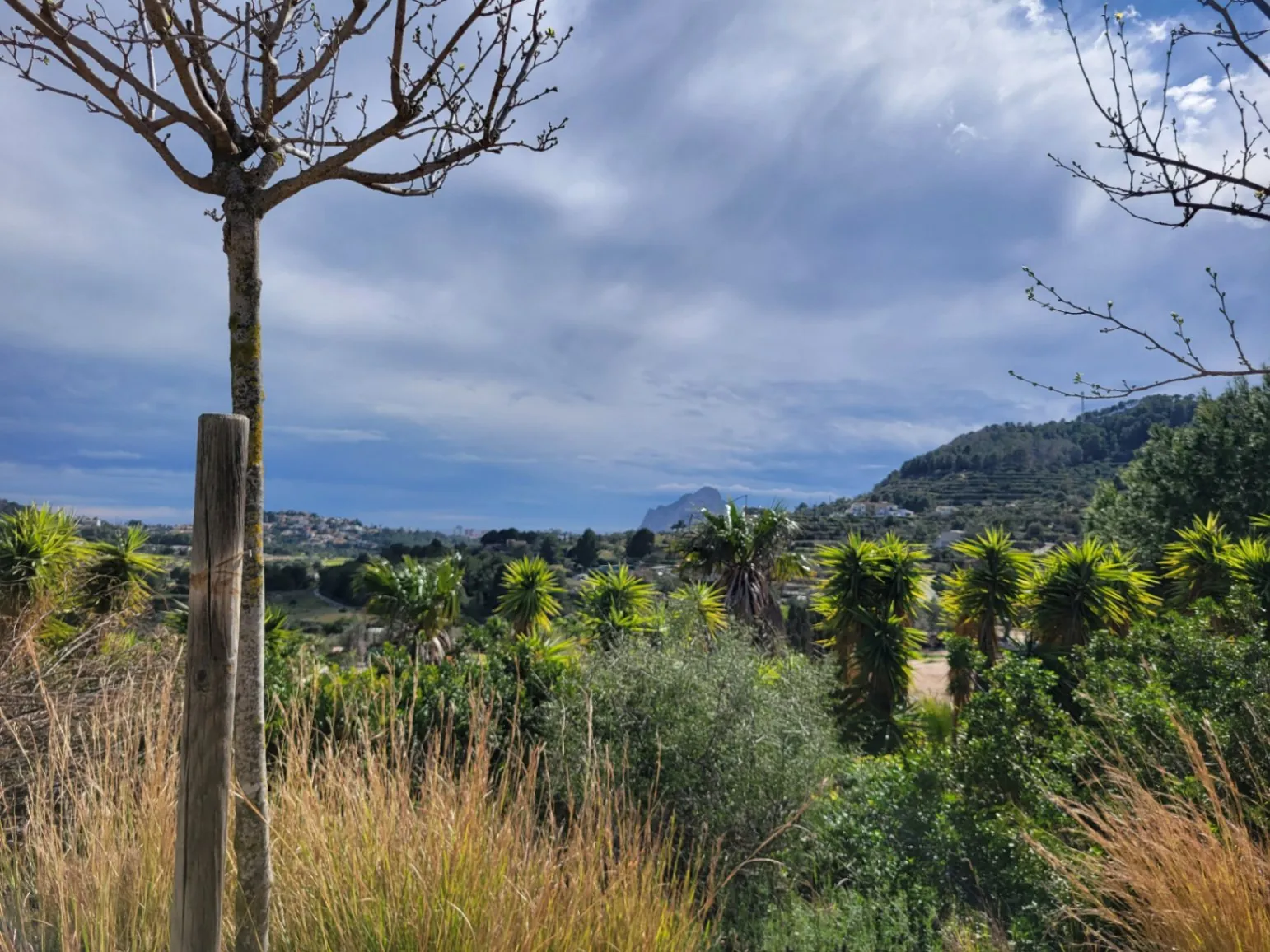 Rustic plot for sale of 10,000 m²