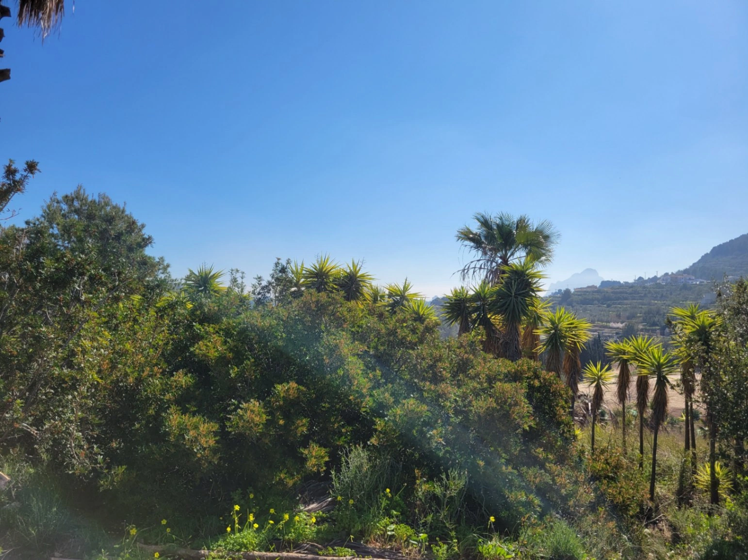 Rustic plot for sale of 10,000 m²