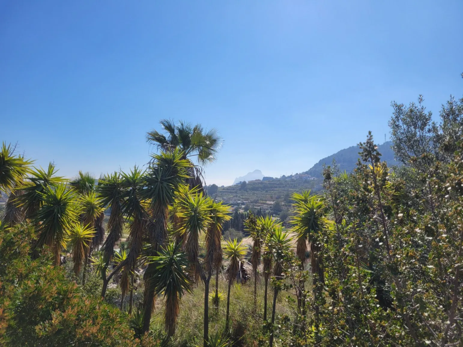 Rustic plot for sale of 10,000 m²