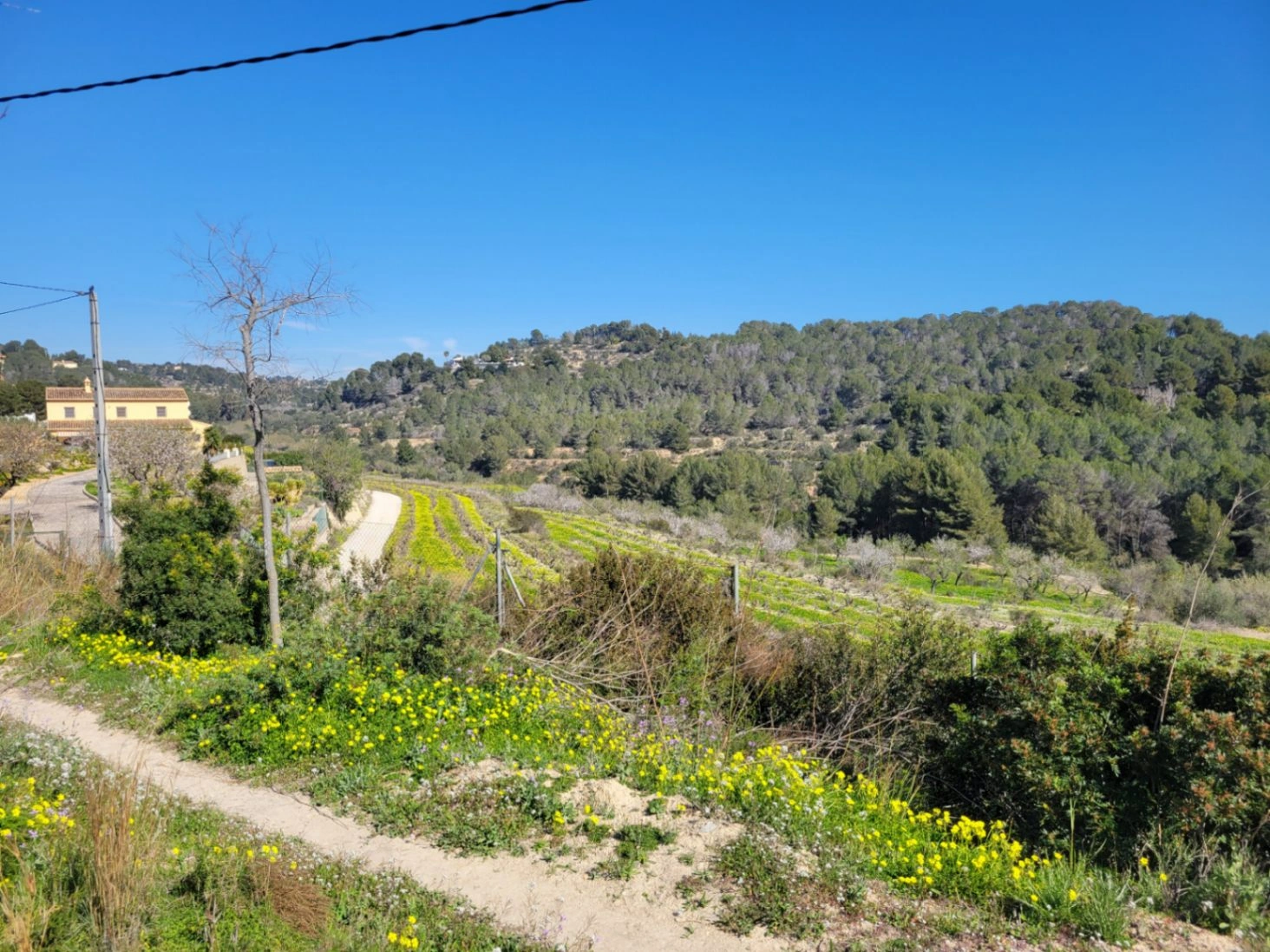 Rustic plot for sale of 10,000 m²
