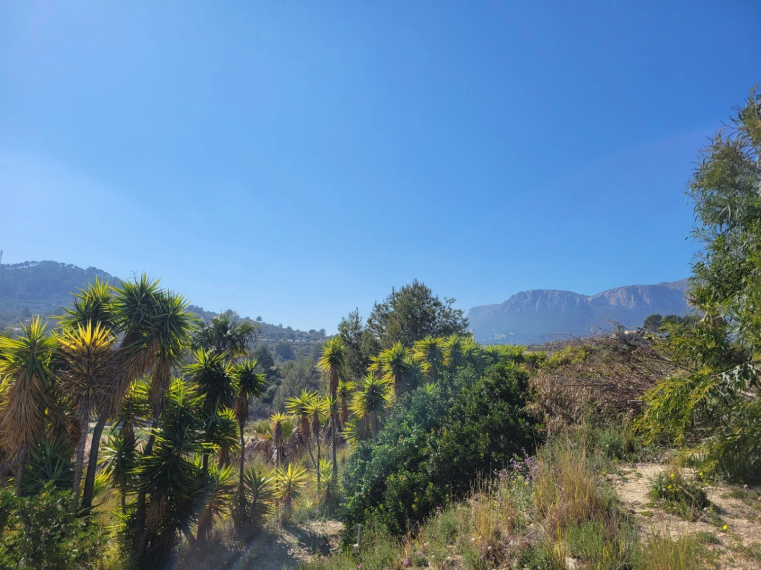 Rustic plot for sale of 10,000 m²