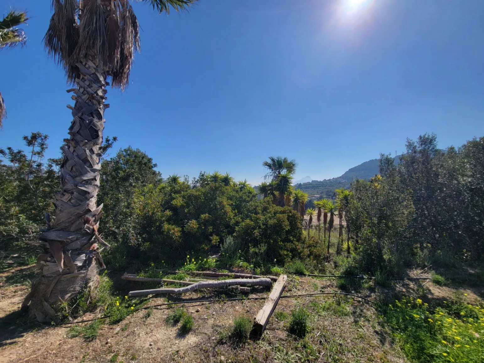 Rustic plot for sale of 10,000 m²