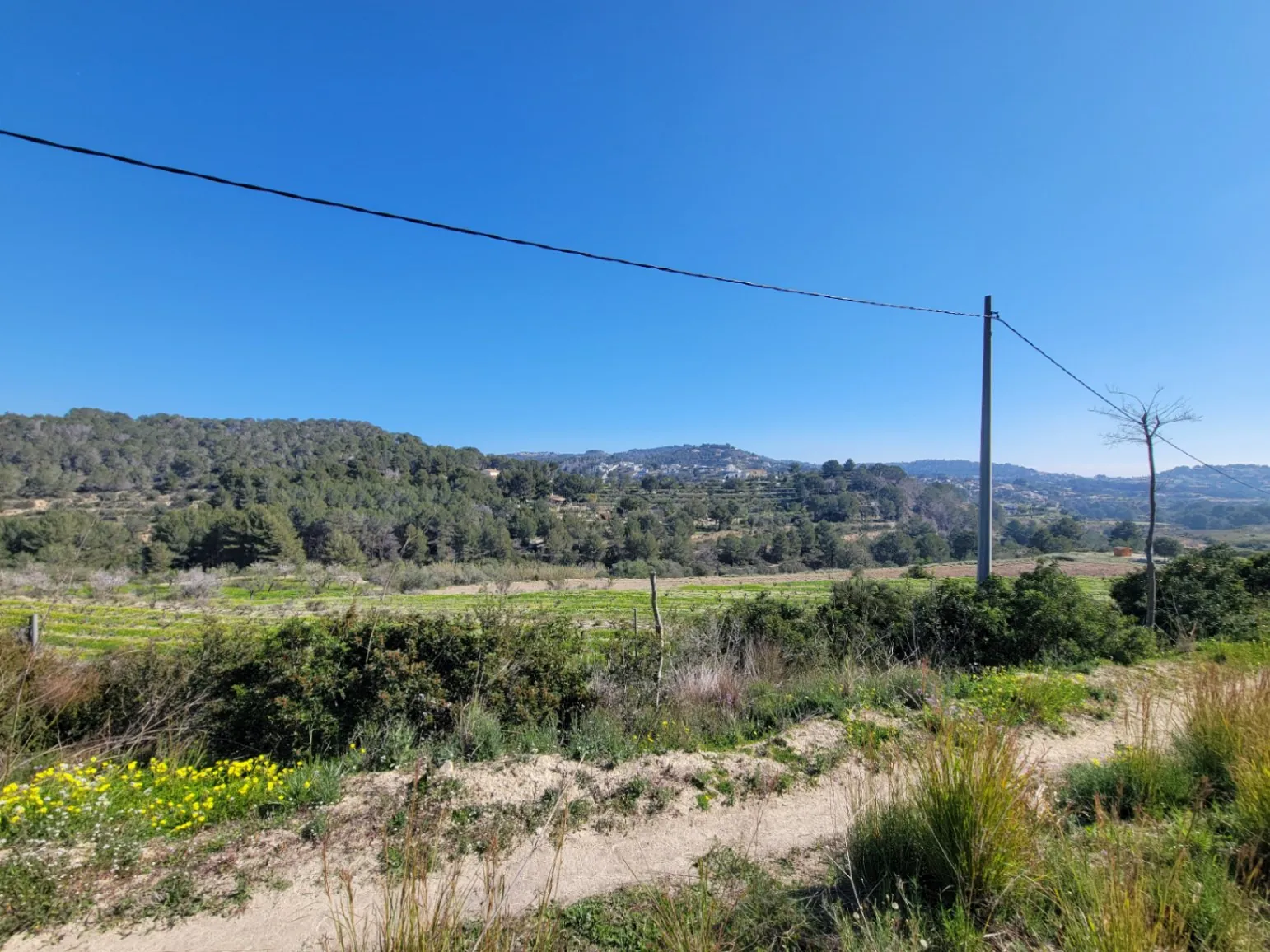 Rustic plot for sale of 10,000 m²