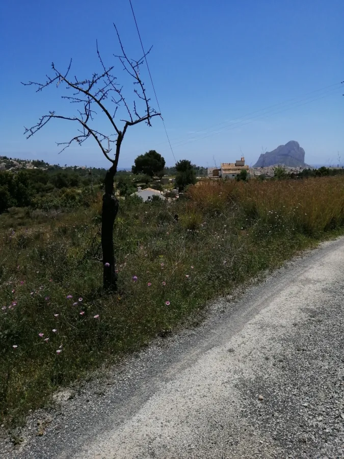 Grundstück zum verkauf in Calpe