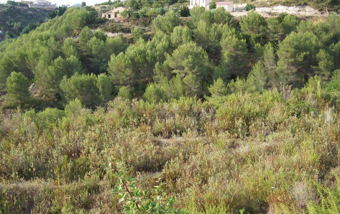 Parcela en venta en Benissa