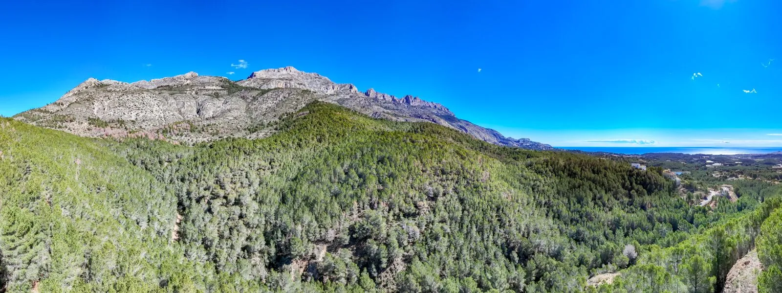 7 PARCELAS EN SANTA CLARA