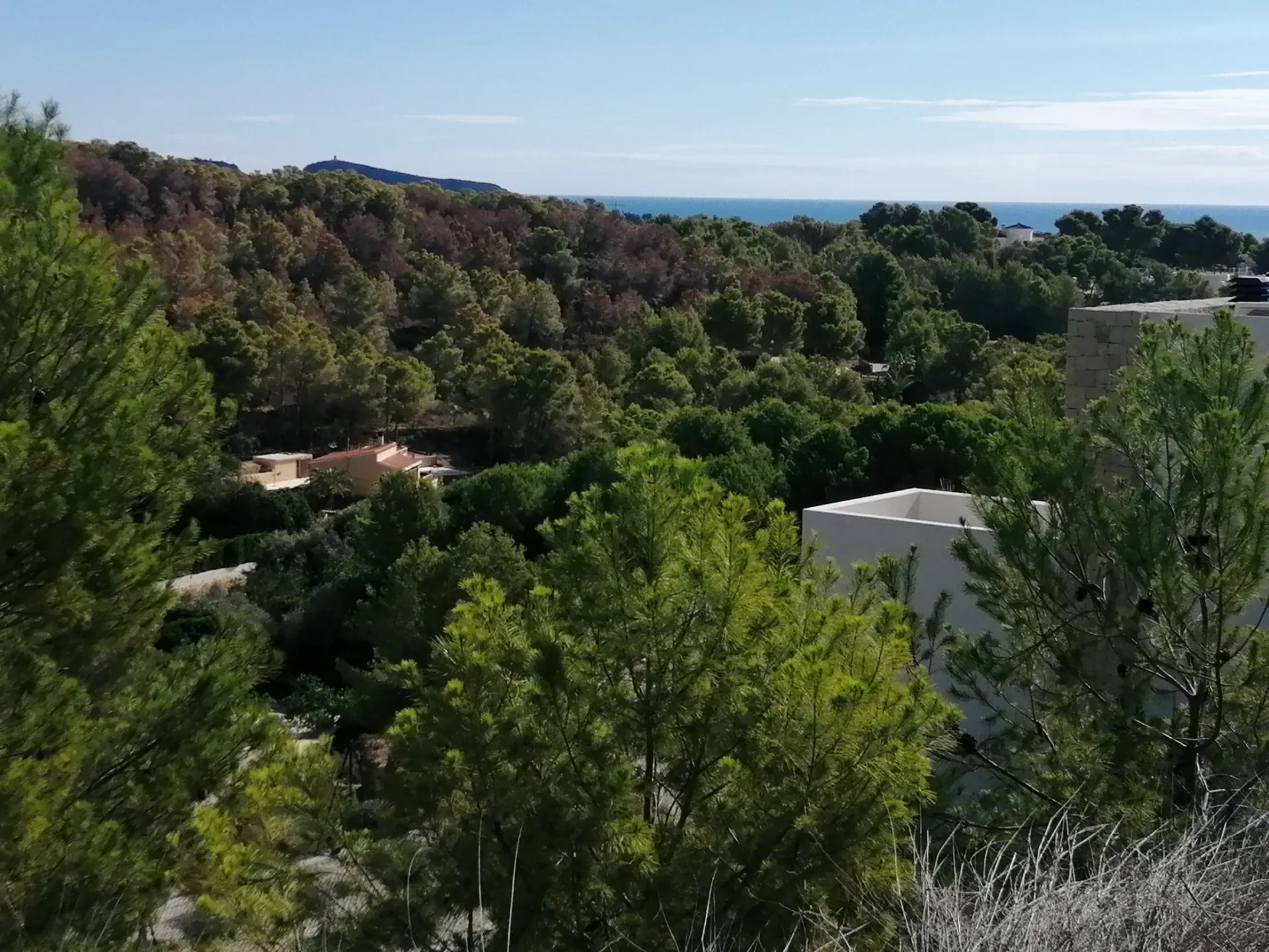 IC8BWJD7 - Parcela en venta en Benissa