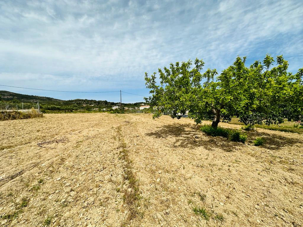 PARCELA RUSTICA EN BENISSA