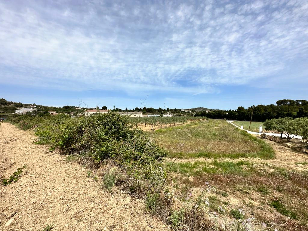 PARCELA RUSTICA EN BENISSA