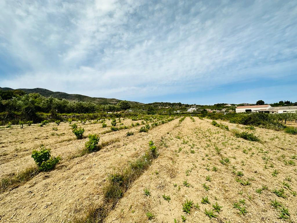 PARCELA RUSTICA EN BENISSA