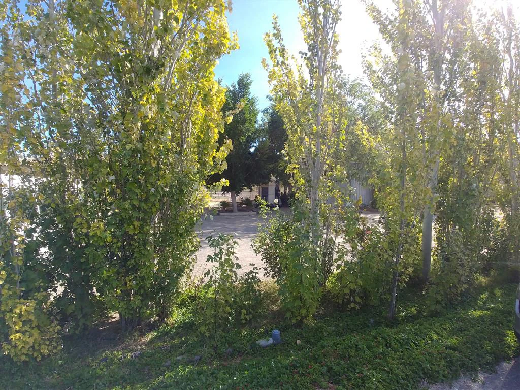 Finca en venta en Polígonos, Elche/elx, Alicante