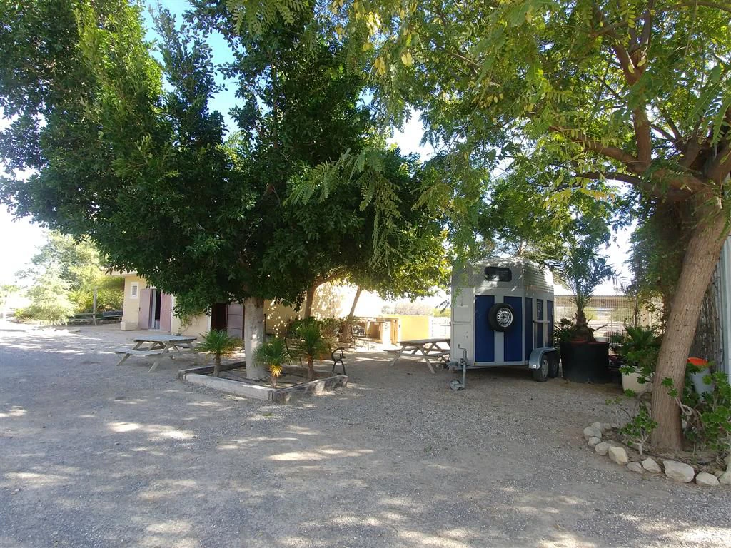 Finca en venta en Polígonos, Elche/elx, Alicante