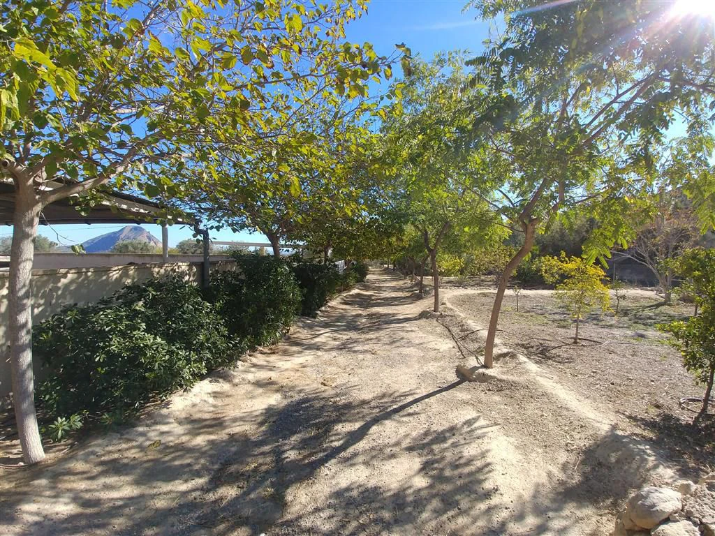 Finca en venta en Polígonos, Elche/elx, Alicante