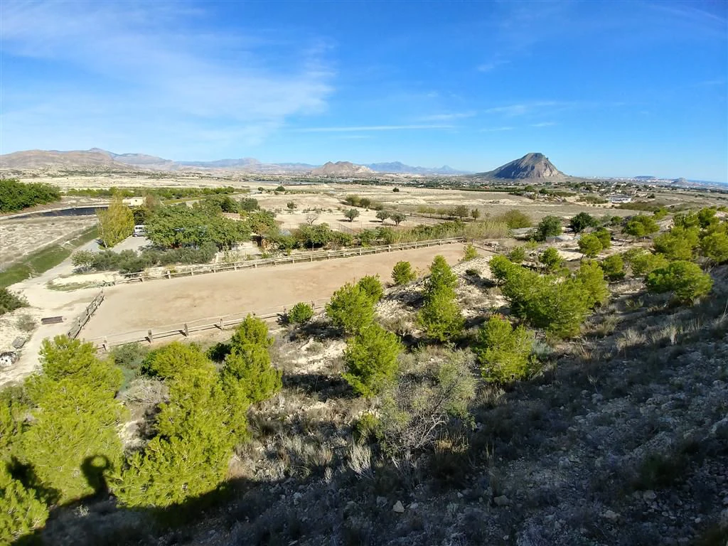 Finca en venta en Polígonos, Elche/elx, Alicante