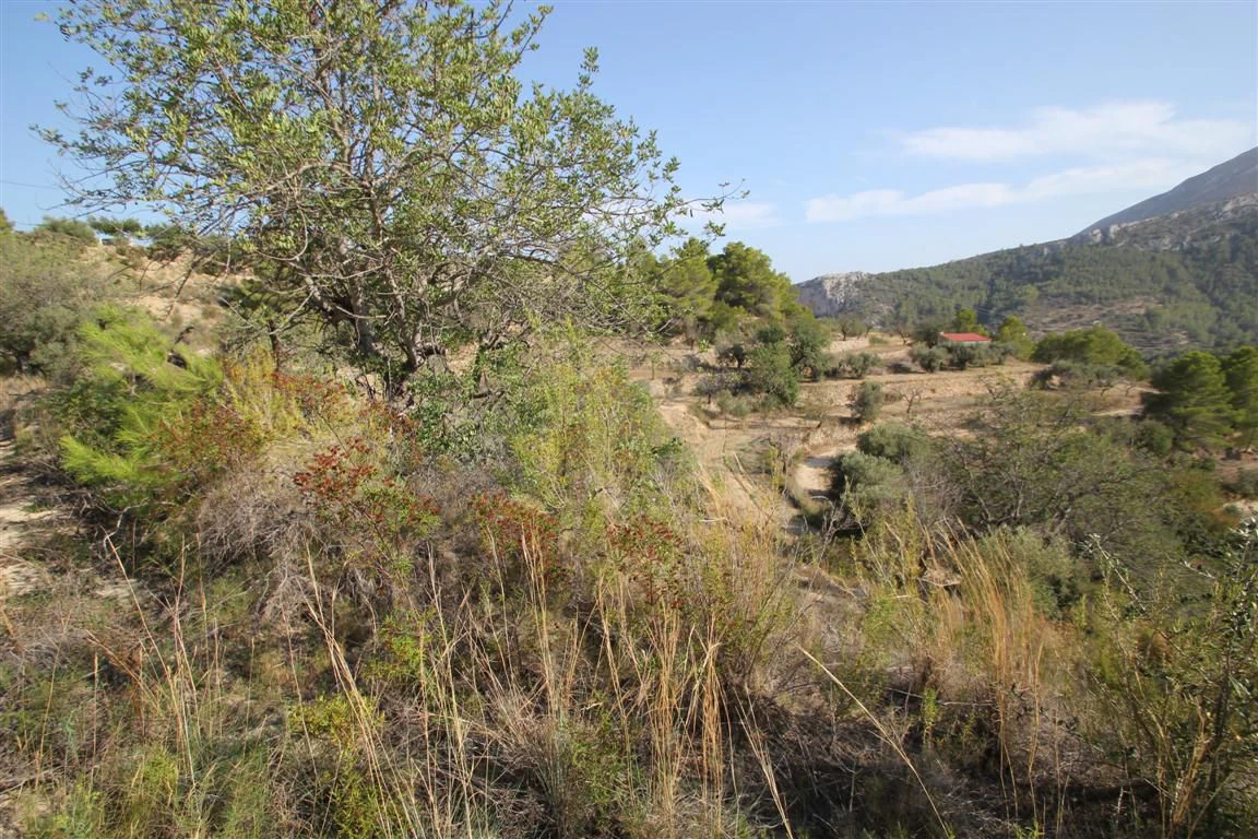 Parcela en venta en Pinos, Benissa, Alicante