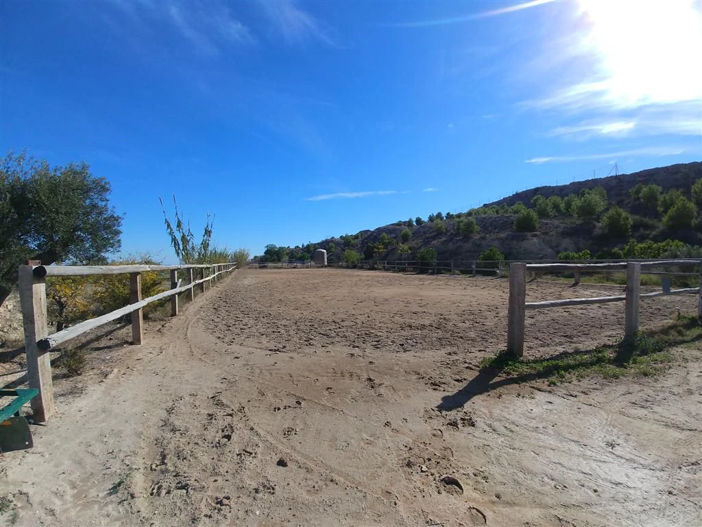 Finca en venta en Polígonos, Elche/elx, Alicante